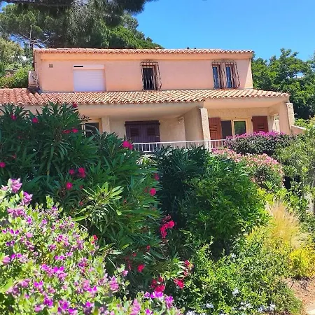 Belle Vue Villa *